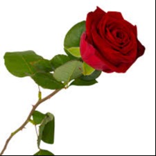 Photo de Jacqueline RONZIER